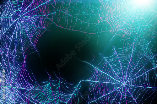 spider web halloween background render 3d illustration