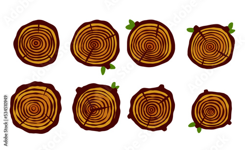 Cut tree trunk. Stump cross section. Concentric circular pattern on brown wood.