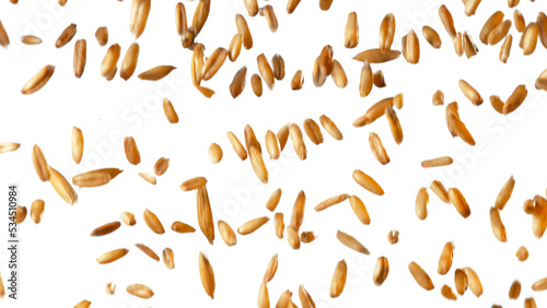 Falling of grain oats close-up, macro shot