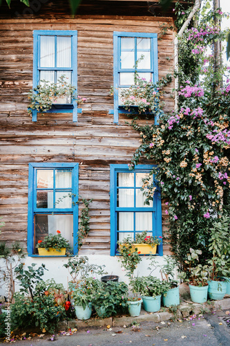 Old wooden house in nature on Princess Island  Istanbul  Turkey