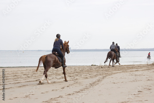 riders on horses on the beach in Renesse, Zeeland, the Netherlands