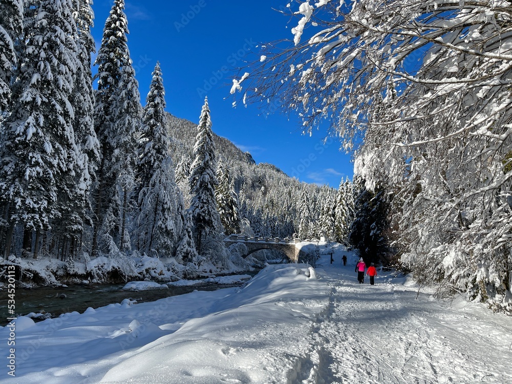 Fototapeta premium Winter landscape in Kranjska Gora, Slovenia