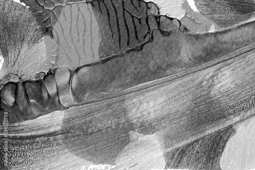 black white abstract acrylic painting color texture on white paper background by using rorschach inkblot method