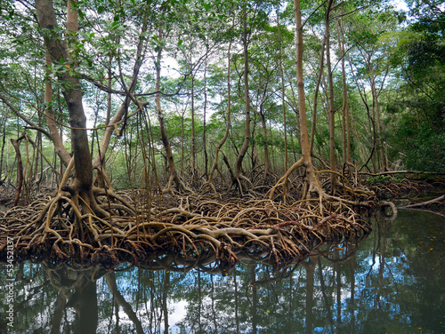 Mangrove Nationalpark Los Haitises