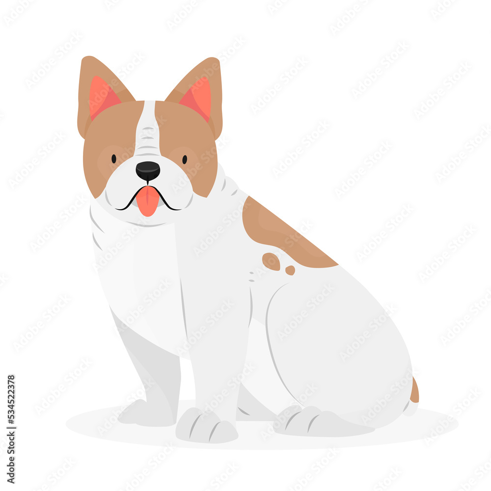 Dog breed french bulldog with his tongue hanging out is sitting. The character is a dog isolated on a white background. Animal illustration.