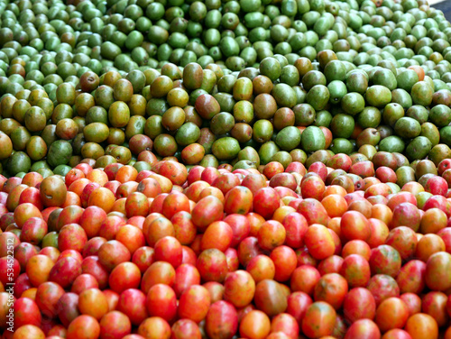 Rote und grüne Tomaten auf  einem Markt in der Karibik