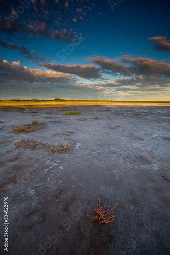 Saltpeter on the floor of a lagoon in a semi desert environment, La Pampa province, Patagonia, Argentina.