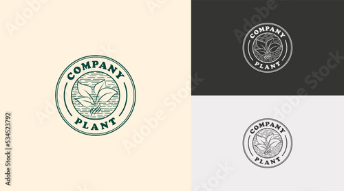 Logo template design, with the concept of a plant in a circle. Modern logo, plants and nature