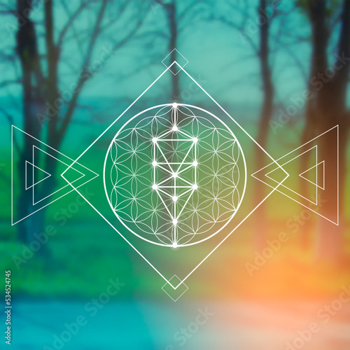 Flower of life. Tree of life. Sacred geometry spiritual new age futuristic illustration with transmutation interlocking circles, triangles and glowing particle