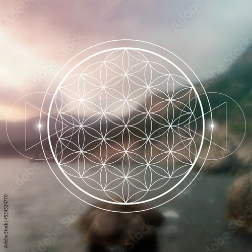 Flower of life. Tree of life. Philosopher stone. Merkaba. Sri Yantra. Sacred geometry spiritual new age futuristic illustration with transmutation interlocking circles, triangles and glowing particle