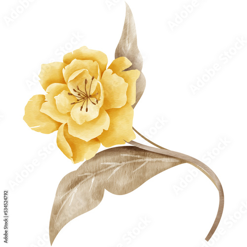 Fototapeta Naklejka Na Ścianę i Meble -  Vintage Brown Flower Watercolor