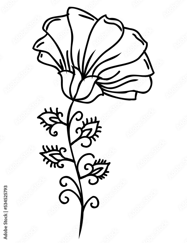 Line art flower drawing. PNG with transparent background.