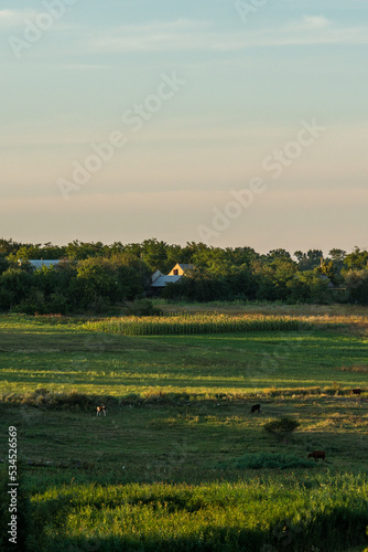 sunset in the countryside