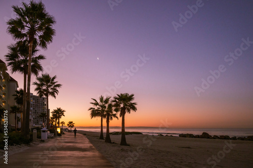 Dawn on Coronado Beach  San Diego.  The sky is turning from purple to orange as the sun comes up  silhouetting the palm trees lining the shore. Room for copy.
