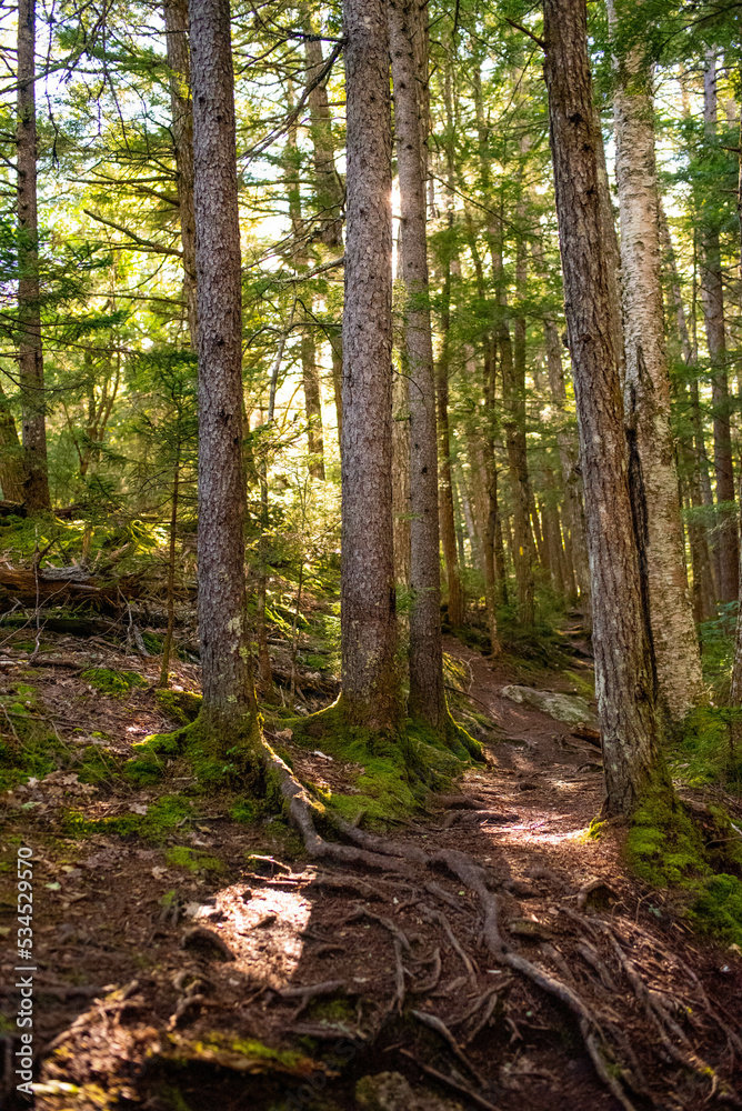 Obraz premium Autumn Landscape near lake