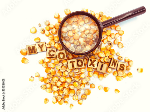Awareness Mycotoxins in Corn for Animal feed photo