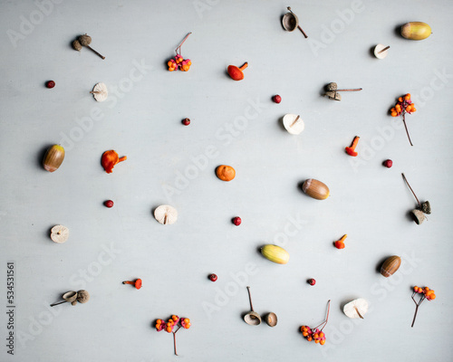 Autumn background with mushrooms, acorns, berries photo
