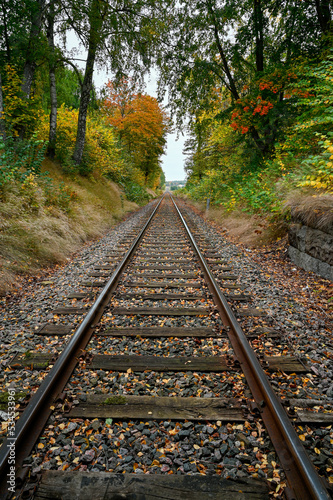 Railway with autumn trees on the sides