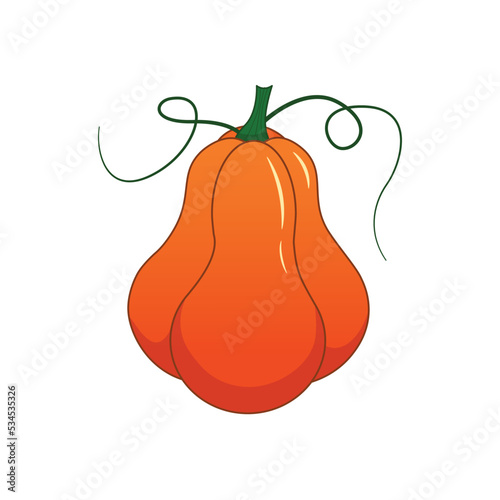 Pumpkin on a white background