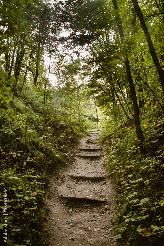 Uphill trail through the woods Uphill trail through the woods