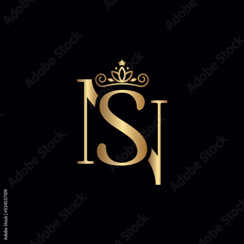 SN or NS logo crown beauty