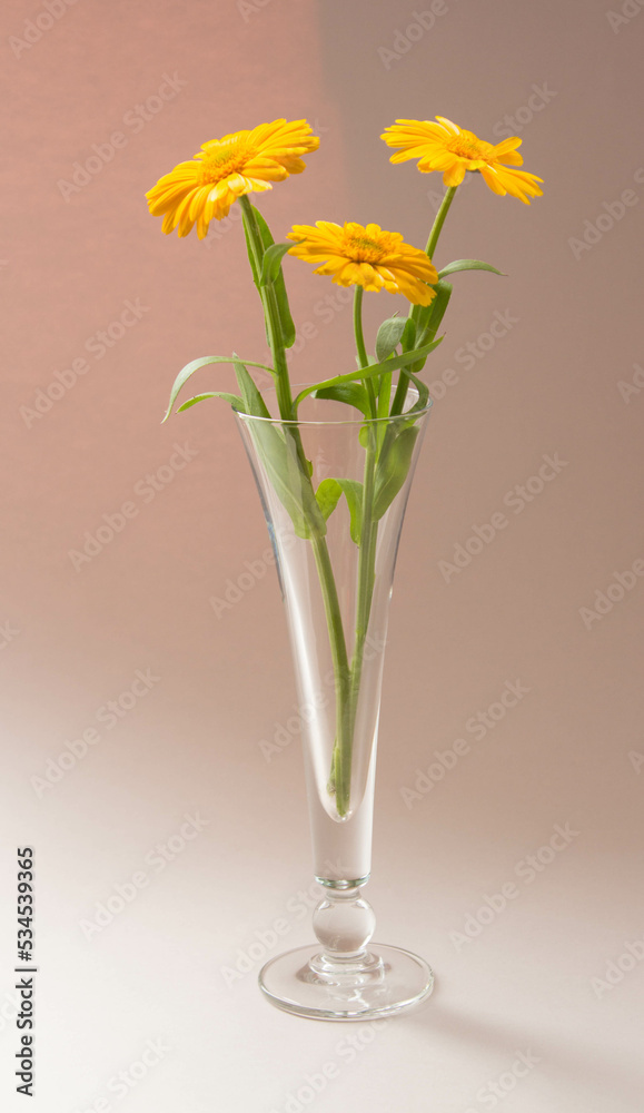 Elegant floral arrangement of yellow flowers. Beautiful bouquet in wine glass. Pastel background. Romantic still life.
