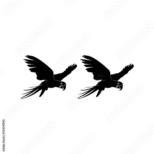 Flying Pair of the Macaw Bird Silhouette for Logo  Pictogram  Art Illustration  Website or Graphic Design Element. Vector Illustration 