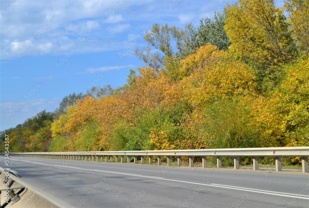 custom made wallpaper toronto digitalAutumn trees on the side of the road.