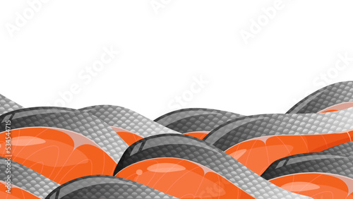 鮭の切り身のフレーム_16:9