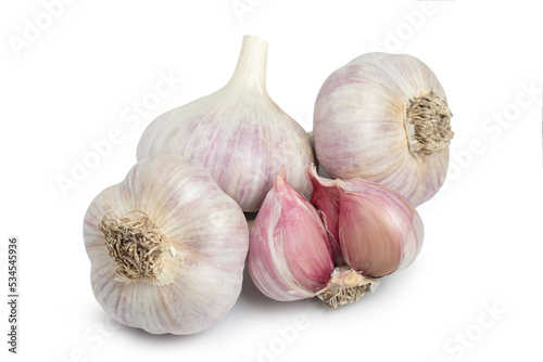 Isolated garlic. Raw whole garlic isolated on white background