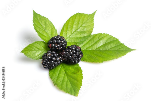 three blackberry with leaf isolated on a white background closeup photo