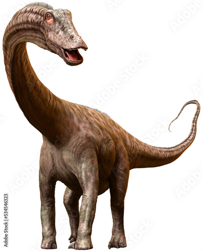 Diplodocus dinosaur from the Jurassic era 3D illustration  © warpaintcobra