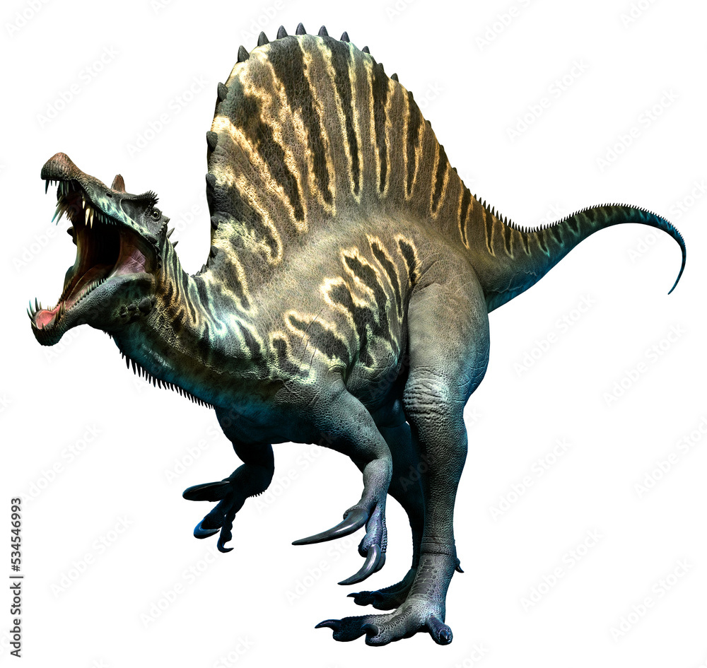 Spinosaurus from the Cretaceous era 3D illustration Spinosaurus from the Cretaceous era 3D illustration