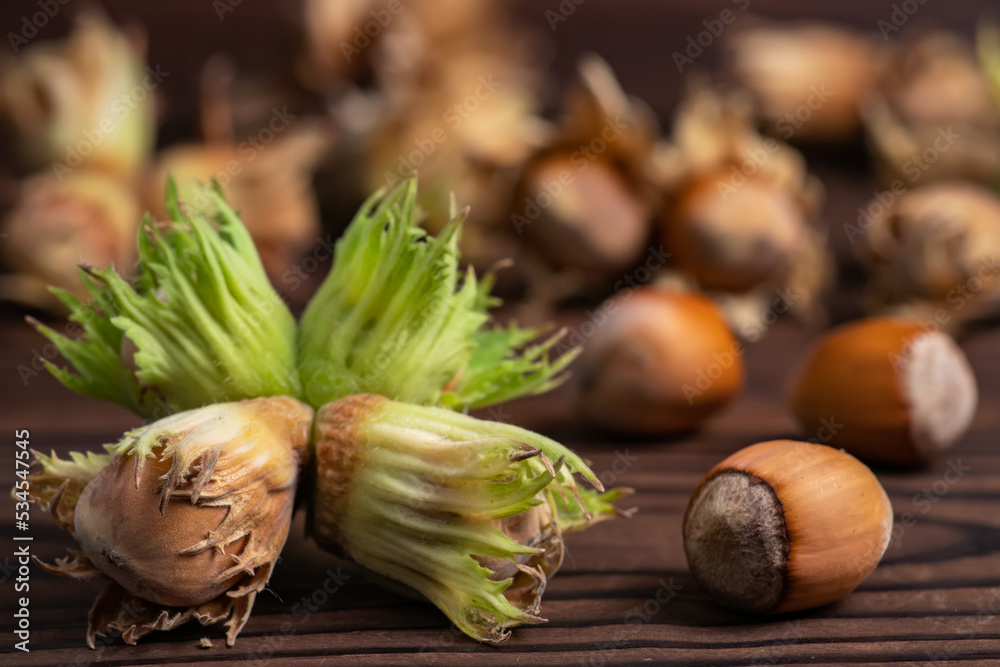 Organic fresh hazelnut on wooden background close up Organic fresh hazelnut on wooden background close up
