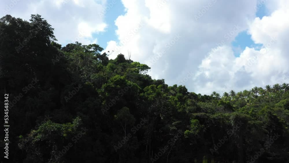 drone rising from among the trees in brazil