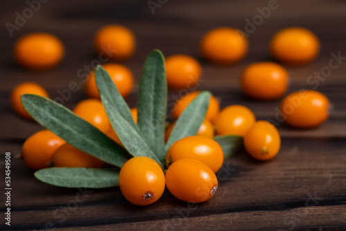 tomatoes on the table photo