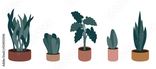 Green potted houseplants vector illustration. Set of interior house plants for office and room decor. Hygge flat style collection isolated on white background