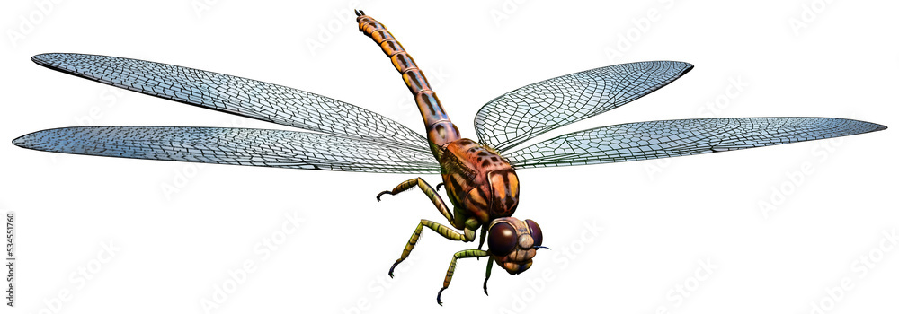 Meganeura prehistoric dragonfly 3D illustration	 - obrazy, fototapety, plakaty 