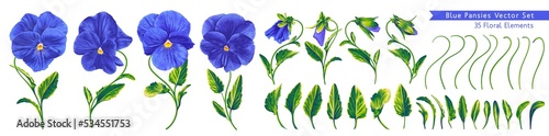 Set of blue Pansies. Vector botanical illustrations. Clip art in realistic style isolated on dark background. Ready-made flowers, buds leaves and stems, customize your own floral elements.
