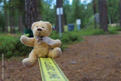 Teddy, Bear, Schweden, Slackline, Slack-Line © Stefan