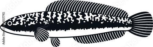 Snakehead logo. Isolated snakehead on white background