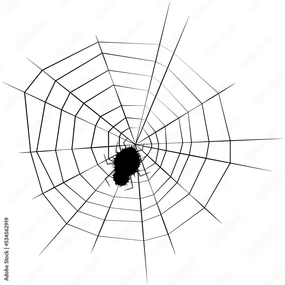 Obraz premium dark, spider web, flat, gothic, decoration, danger, horror, arachnid, fear, spooky, scary, element, silhouette, cobweb, trap, spiderweb, creepy, insect, black, halloween, illustration, web, vector, sp