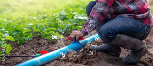 Farmer open water for rows of young of potato plants with technology icons, Agricultural management, startups, improvements. Innovation and development