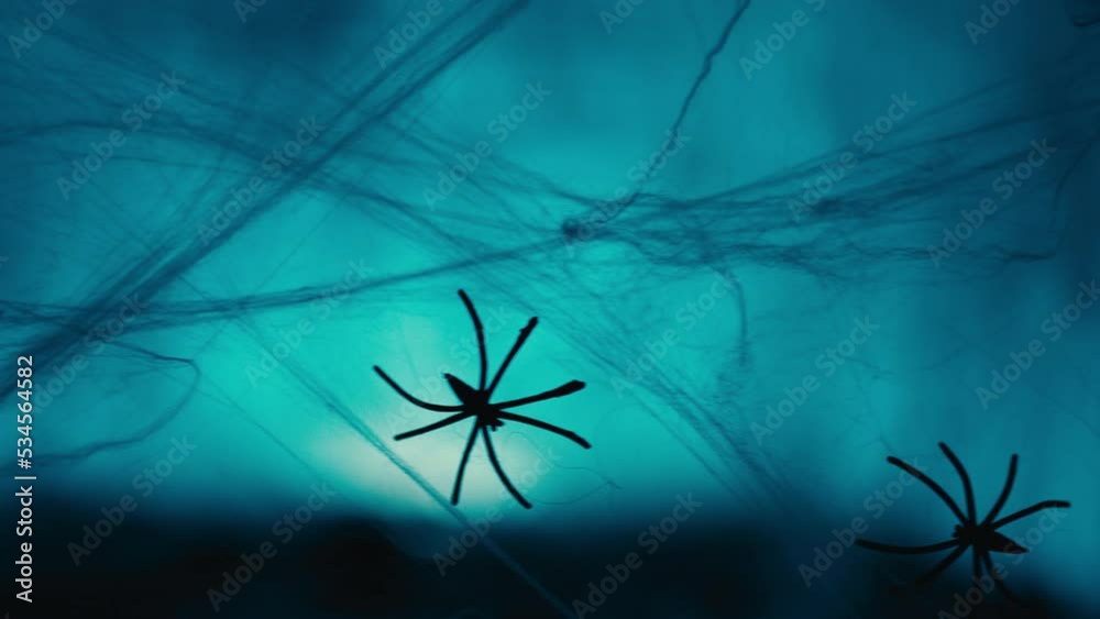 Black spiders on cobweb in the night