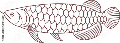 Photography Arowana outline