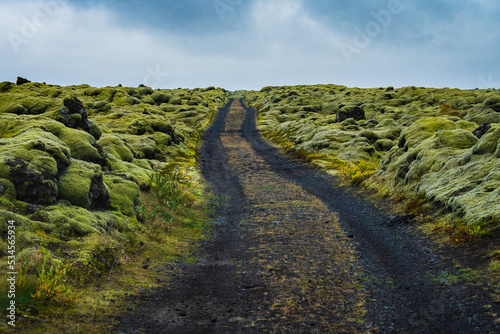 Mossy Lava Fields (Iceland) © Alberto Giron