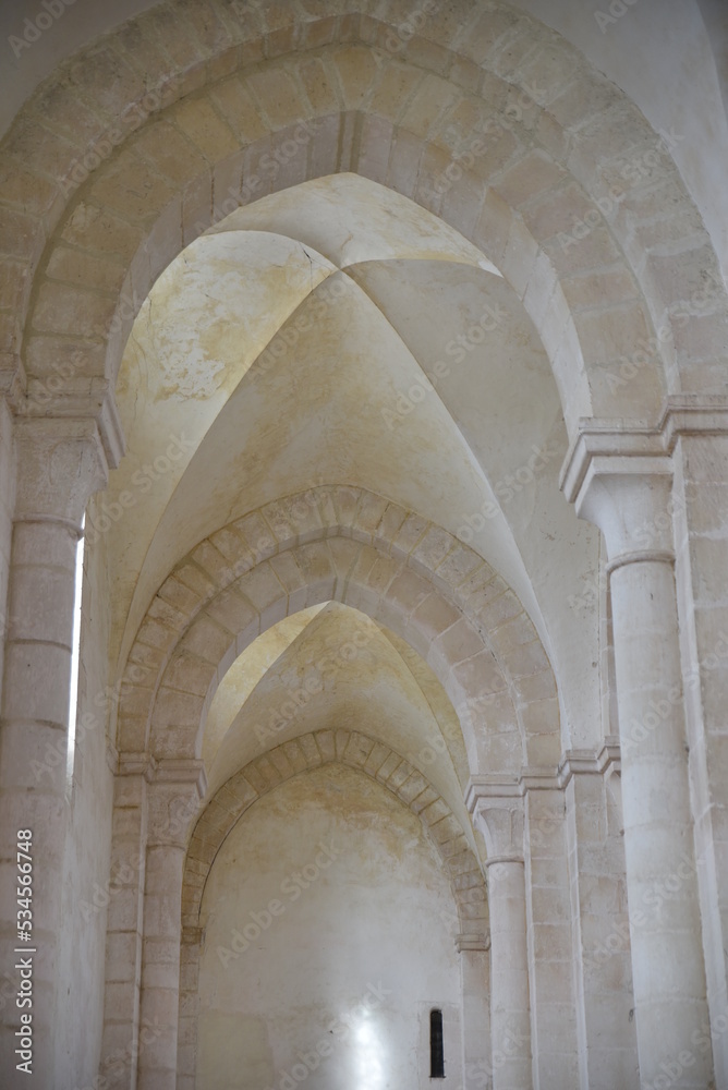 Nef latérale de l'abbaye de Pontigny en Bourgogne. France