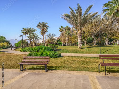 Benches in a clearing in Duden Park in Antalya, Turkey. City garden with walking paths and palm trees in a Turkish resort town