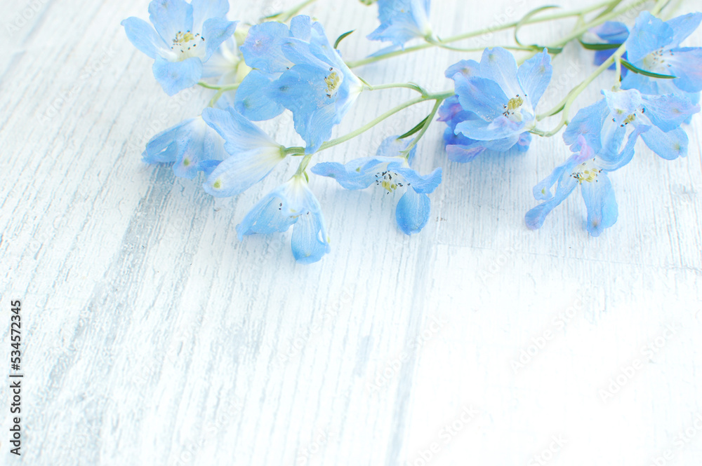青い背景と花 Stock Photo | Adobe Stock