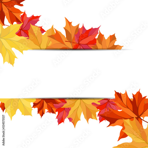 Autumn Maple Frame